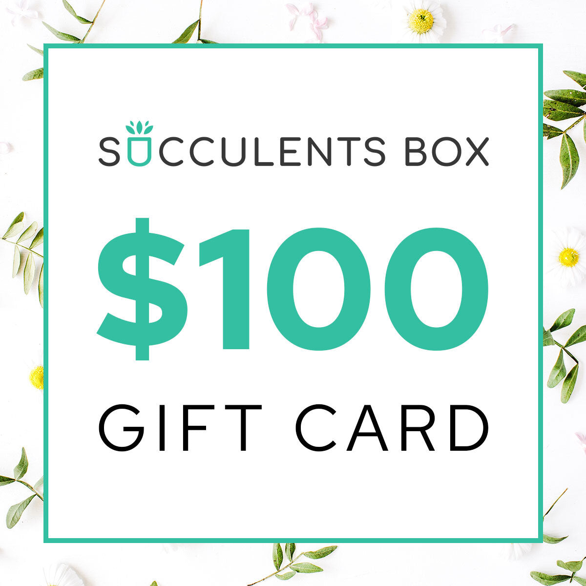 succulents box coupon eGift Card