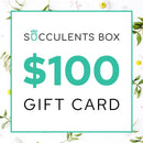 buy gift card online, black friday gift deals gift cards, buy gift card near me, best buy gift card, buy gift card discount, christmas gift card ideas, succulent gift card for any occasion, buy succulents for thanksgiving