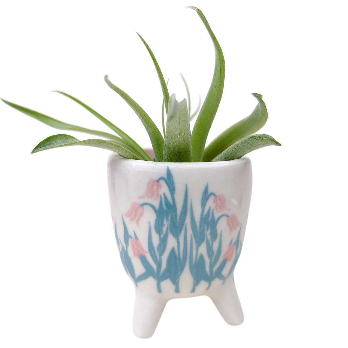 Spring Footed Pot for sale, Ceramic Pot for succulents and flowers, Modern style flower pot for sale, Succulent gift decor ideas