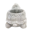 Cement Turtle Flower Pot, Cement Turtle Pot for sale, Small Succulent and Cactus Pot, Elegant Animal Desk Decor, Home Decor Office Decor, Cute Cement Turtle succulent planter pot, succulent gift ideas