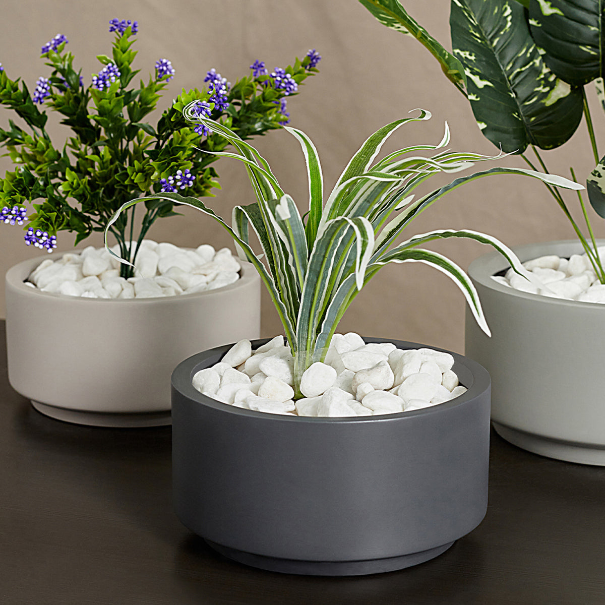 7 inch indoor plant pot 7 inch Charcoal Fiberstone Ceramic Pot - Modern Pot for Succulents