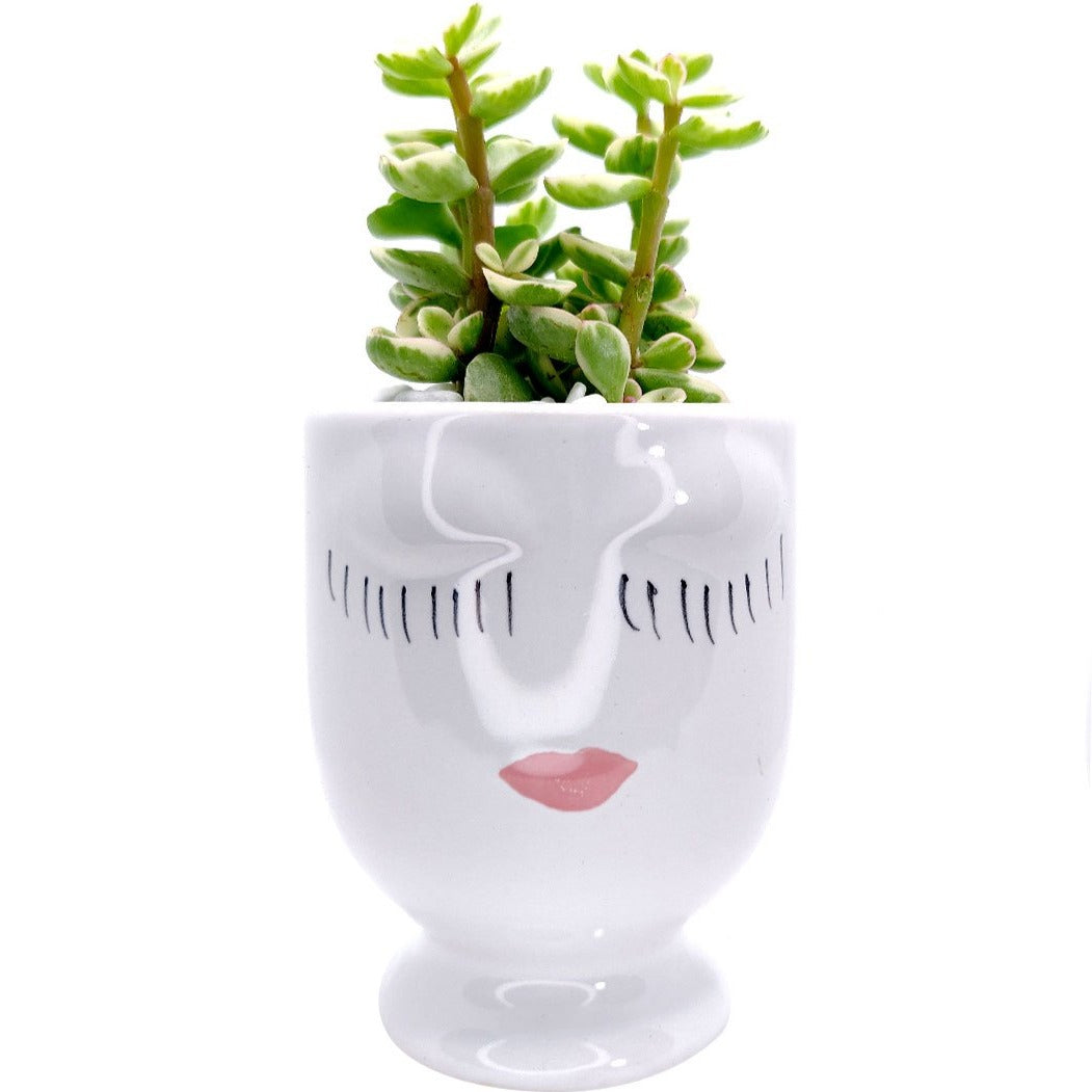 Hand-painted Pretty Lady Face Pot for sale, 4 inch pot for cactus and succulent plant, unique Artistic Lady Face Pots, modern home decor ideas, small ceramic pot for succulent, succulent gift ideas for women