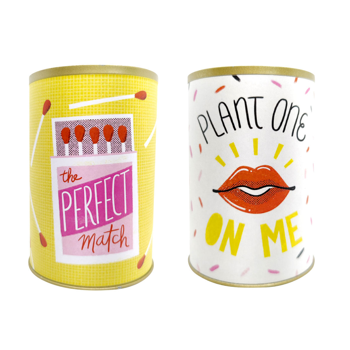 punny tin can for sale, tin pot for succulent and cactus, succulent gift ideas, funny pot for sale