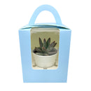 Wedding favor, cactus tray, cactus gift pack, succulents for weddings, cactus succulents,  cactus succulent gift ideas, cactus gift ideas, cacti species, cacti plants, cacti succulents, wedding favor ideas, corporate gift ideas