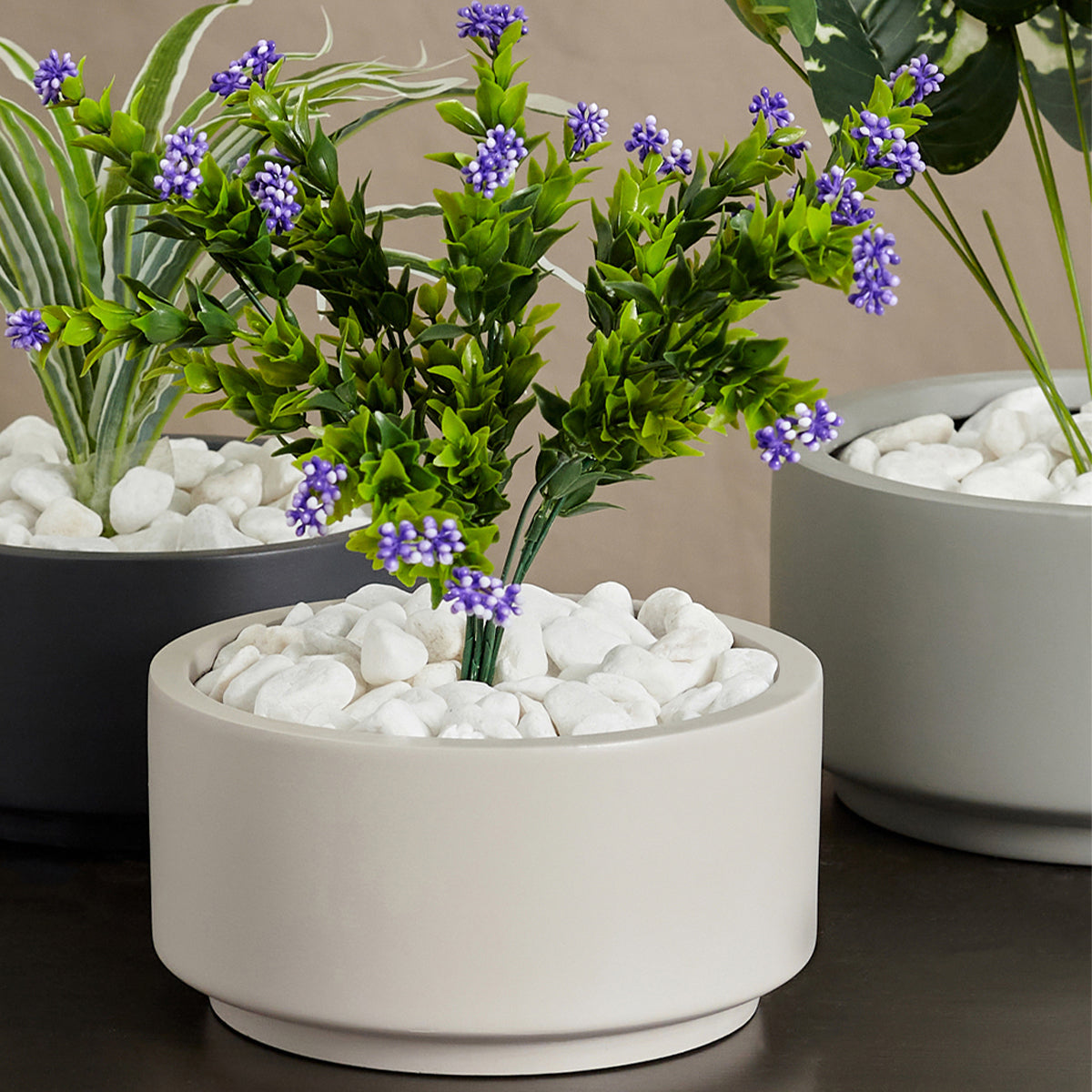 7 inch pot plant 7 inch Gray Cream Fiberstone Ceramic Pot - Modern Pot for Succulents