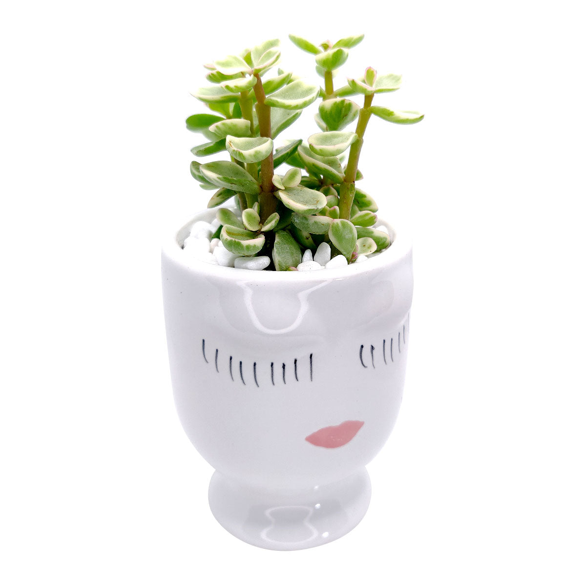 Hand-painted Pretty Lady Face Pot for sale, 4 inch pot for cactus and succulent plant, unique Artistic Lady Face Pots, modern home decor ideas, small ceramic pot for succulent, succulent gift ideas for women