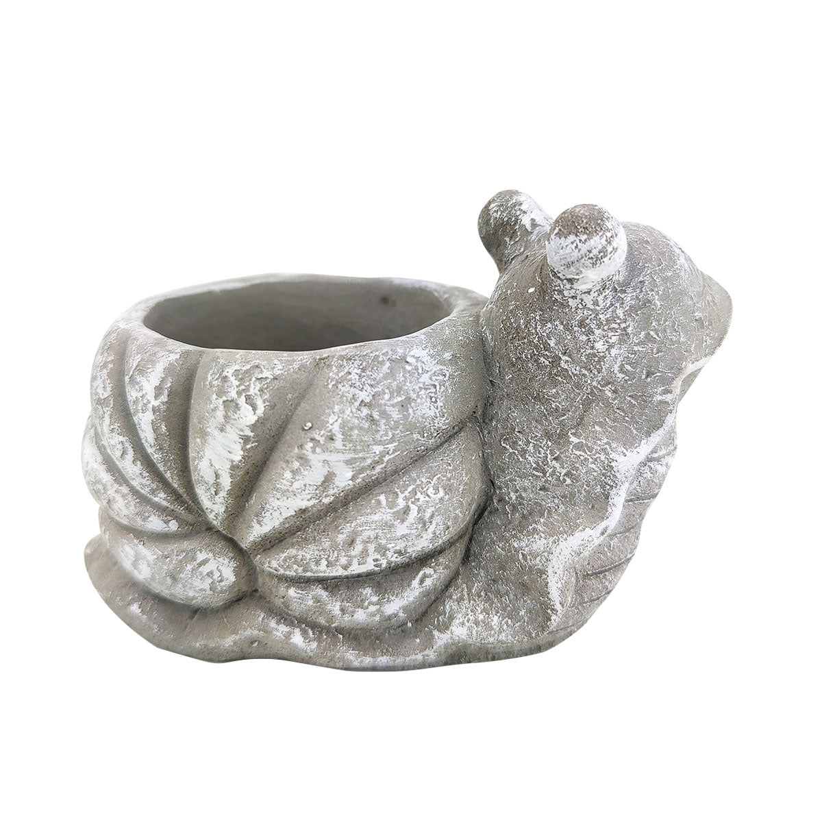 Cement Snail Flower Pot, Cement Snail Pot for sale, Small Succulent and Cactus Pot, Elegant Animal Desk Decor, Home Decor Office Decor, Cute Cement Snail succulent planter pot, succulent gift ideas