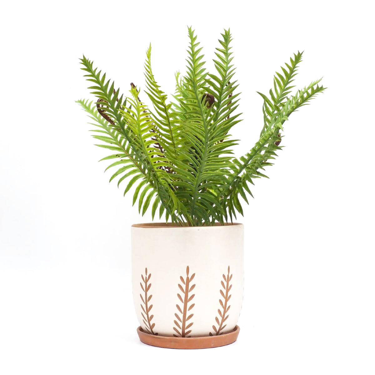 Stunning vertical leaf carving pattern for indoor plant, Houseplant decorative pot for sale online, Carving terra cotta pot for planting
