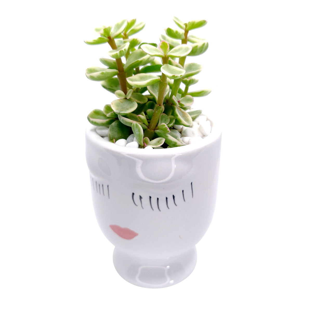 Hand-painted Pretty Lady Face Pot for sale, 4 inch pot for cactus and succulent plant, unique Artistic Lady Face Pots, modern home decor ideas, small ceramic pot for succulent, succulent gift ideas for women