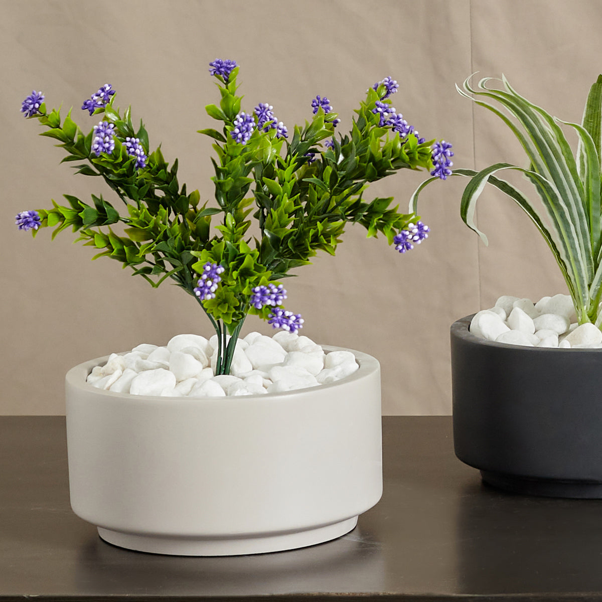 big plant pots online 8.75 inch Gray Cream Fiberstone Ceramic Pot - Pot for Succulents