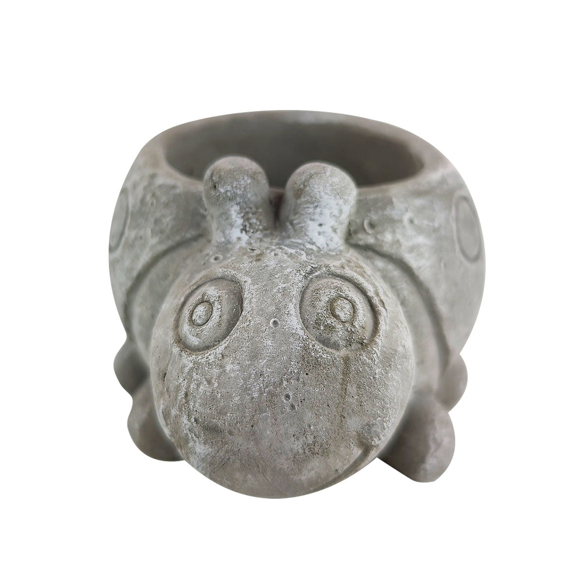 Cement Ladybug Flower Pot, Cement Ladybug Pot for sale, Small Succulent and Cactus Pot, Elegant Animal Desk Decor, Home Decor Office Decor, Cute Cement Ladybug succulent planter pot, succulent gift ideas