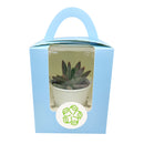 Wedding favor, succulent tray, succulent gift pack, succulents for weddings, random succulents,  succulent gift ideas, random succulent gift ideas, succulent species, succulent plants favor, succulents collection, succulent arrangement, wedding favor ideas, corporate gift ideas