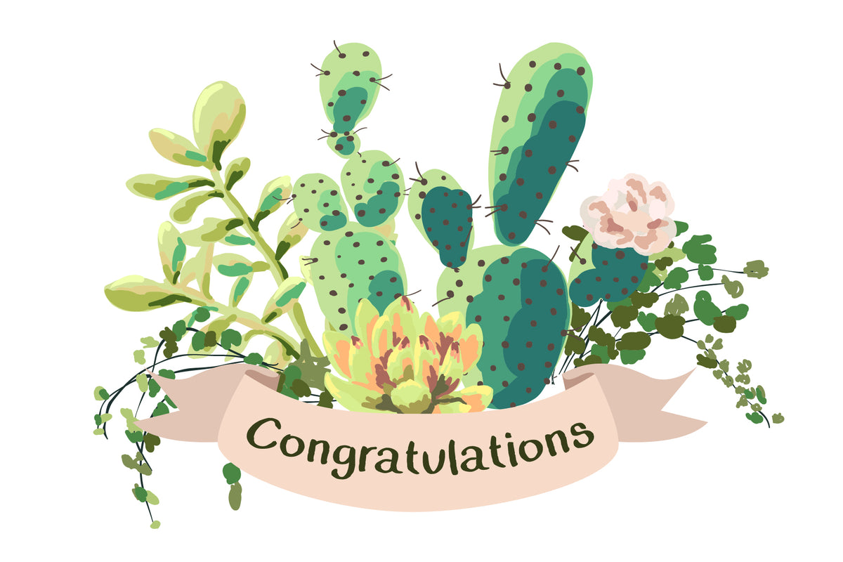 Succulents Congratulations Card for sale, New Home Card, Housewarming Card, Congratulations Card, Congrats Card, Succulents Card, Succulents Gift Ideas