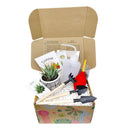 How to use gardening tool kit for growing succulent plants