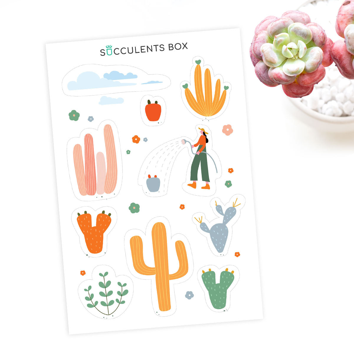 Succulent Planner Sticker for sale, succulent craft ideas, succulent gift ideas, cute plant stickers, decorative scrapbook sticker for sale, Cute Succulents Sticker