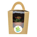 Wedding favor, assorted succulent tray, succulent gift pack, succulents for weddings, assorted succulents,  succulent gift ideas, succulent species, succulent plants favor, succulents collection, succulent arrangement, wedding favor ideas, corporate gift ideas