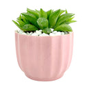 Pink Ripple Pot for sale, Elegant Ceramic Pot for succulent and cactus, Mini flower ceramic pots, Succulent gift decor ideas, Minimalist design pot