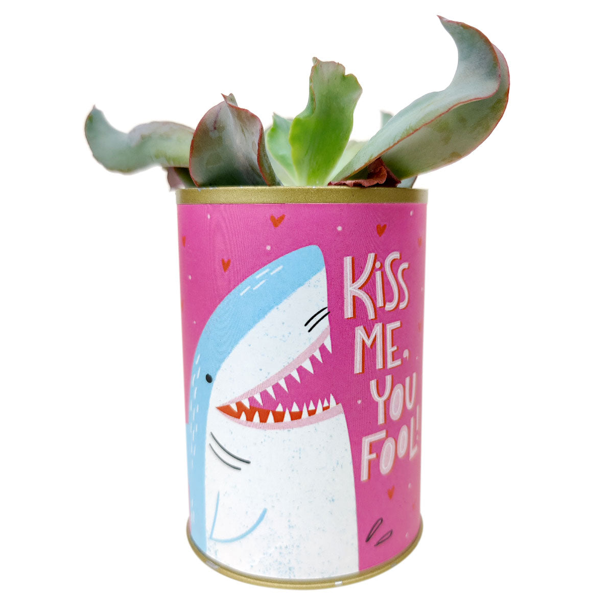 punny tin can for sale, tin pot for succulent and cactus, Valentine's day gift ideas, succulent gift ideas, funny pot for sale, Valentine gift for your lover
