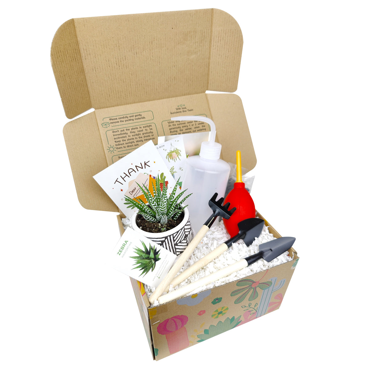 Beginner Kit Gift Box for sale, Succulent Starter Kit, Succulent Kit for Beginner, Best Succulent Gift for Beginner, Succulent Beginner Kit, EcoFriendly Succulent Gift Box for Employee, Corporate Gift Succulents For Sale Online, Succulent Thank You Gift Ideas, Thank you gift for your staff in 2022, Customizable Gift Boxes for employees and clients, Office gift for employees, Employee appreciation day 2022 ideas, Succulent Plants for Clients &amp; Employees for sale