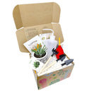 How to use gardening tool kit for growing succulent plants