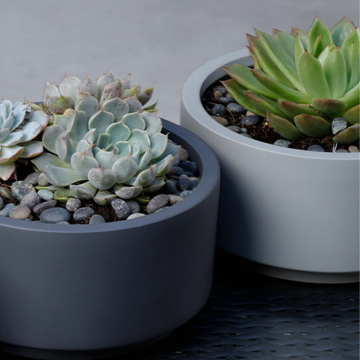 charcoal in plant pots 7 inch Charcoal Fiberstone Ceramic Pot - Modern Pot for Succulents