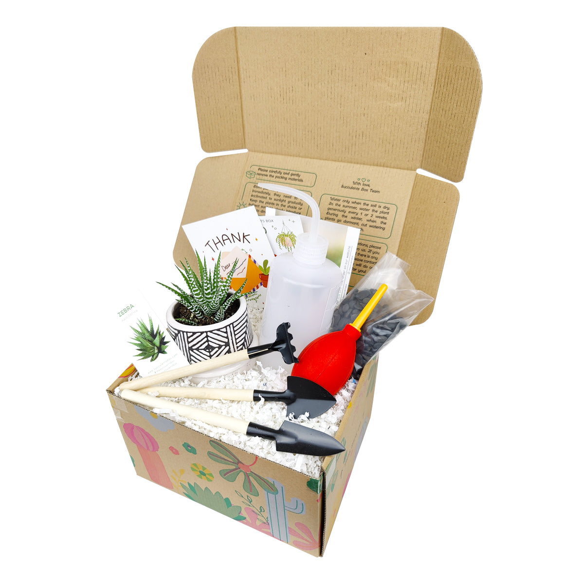 Beginner Kit Gift Box for sale, Succulent Starter Kit, Succulent Kit for Beginner, Best Succulent Gift for Beginner, Succulent Beginner Kit, EcoFriendly Succulent Gift Box for Employee, Corporate Gift Succulents For Sale Online, Succulent Thank You Gift Ideas, Father&#39;s Day Gift Box, Father&#39;s Day Gift Box Ideas, Plant Dad Gifts, Gifts for Dad, Father&#39;s Day Gifts Delivery 2022, Plant Gifts for Men, Happy Father&#39;s Day Gift, Succulent Gift for Men, Thank You Gift Dad, Appreciation Gift for Dad