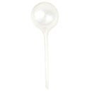 Self-Watering Globe in CA, decorative gardening tool, Minimalist Self-Watering Globe