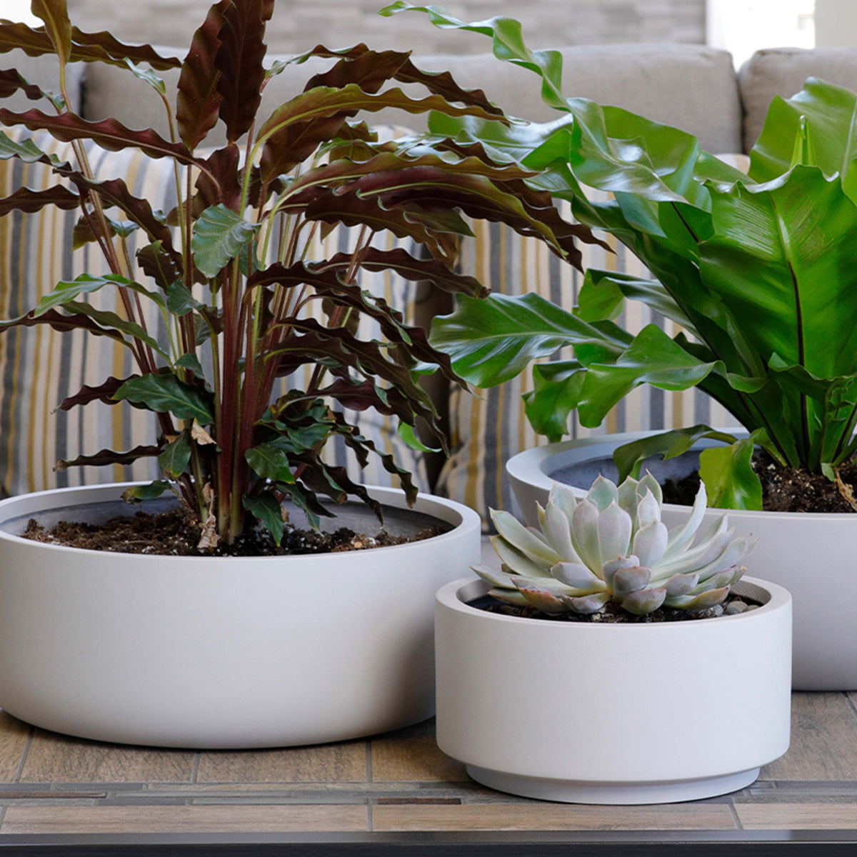 7 inch gray cream fiberstone ceramic pot, pot for indoor plant, ceramic pot for succulent, pot for home office decoration, fiberstone pot, ceramic pot