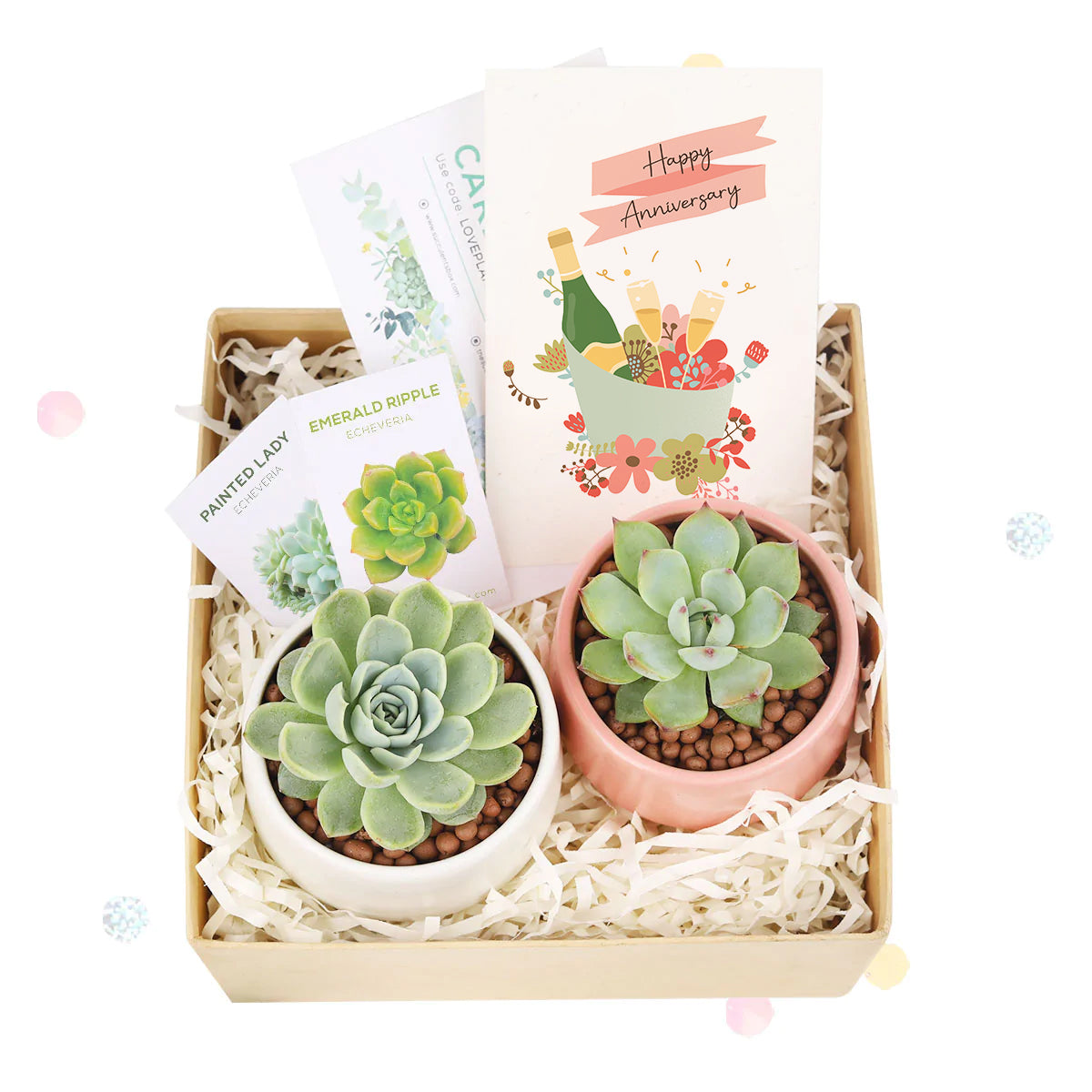 happy anniversary gift box, happy anniversary gift box for sale, happy anniversary gift idea, airplant gift box, succulent gift box for happy anniversary 2025