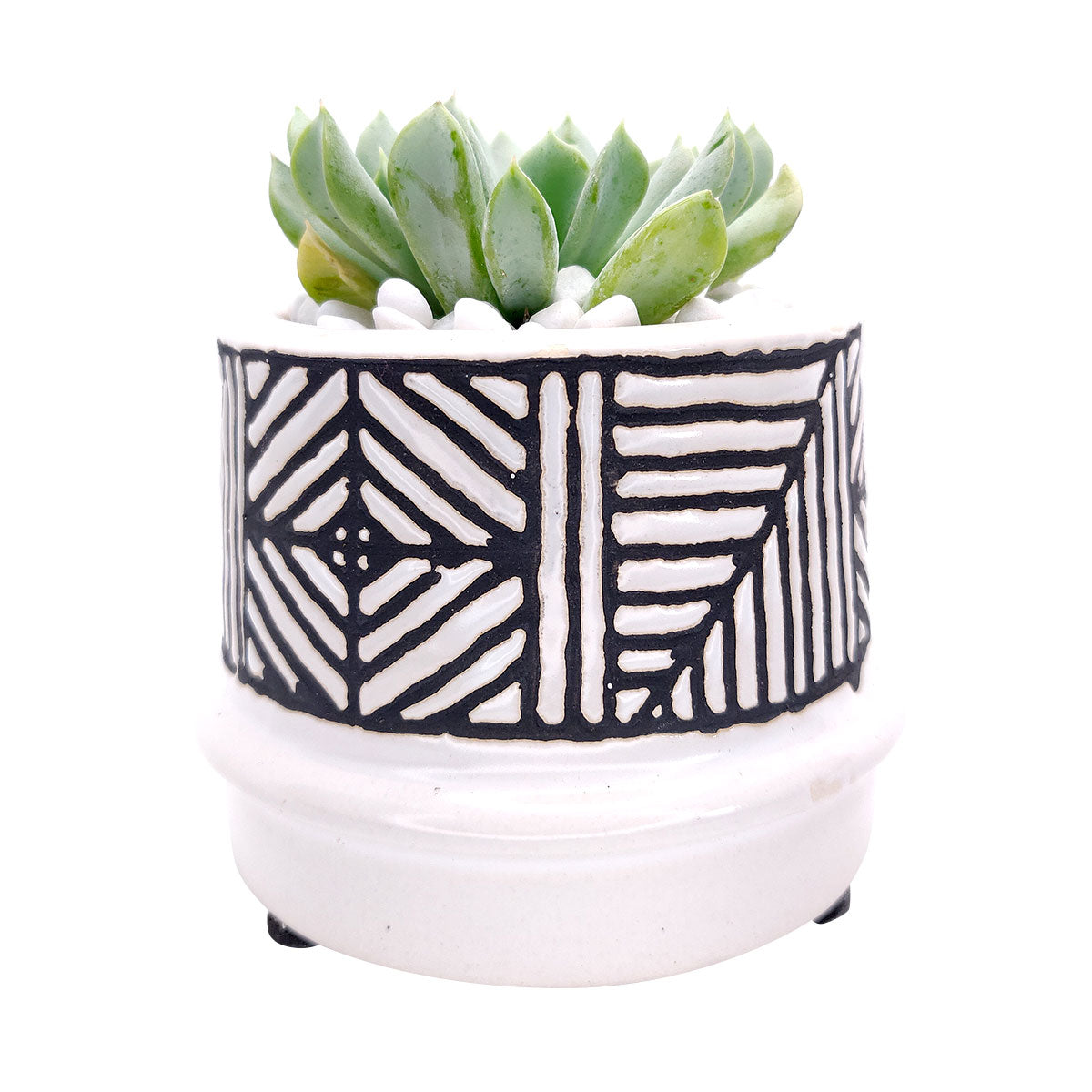 Tribal Geometric Ceramic Pot for sale, Pot for cactus and succulent, modern style home decor, flower pot for sale