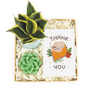 cute holiday cards, modern holiday cards, holiday cards 2025, holiday cards sale