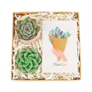 cute holiday cards, modern holiday cards, holiday cards 2025, holiday cards sale