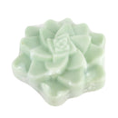 aloe succulent soap, organic succulent soap, natural succulent soap