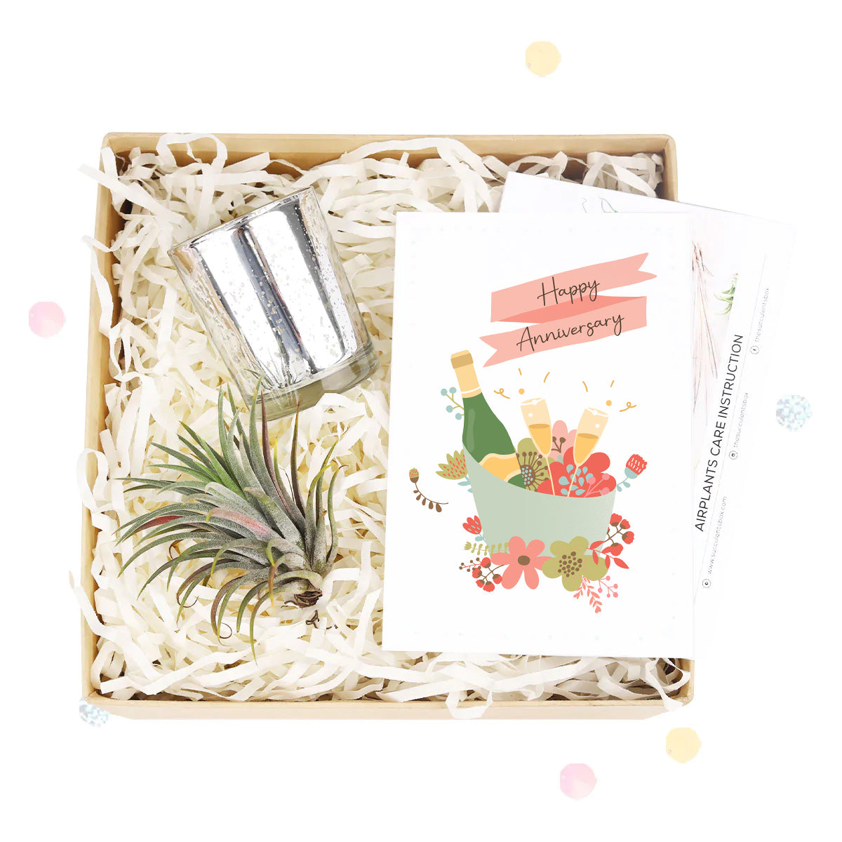 send air plant gift Thank You Gift Box with Succulent, Candle & Personalized Note