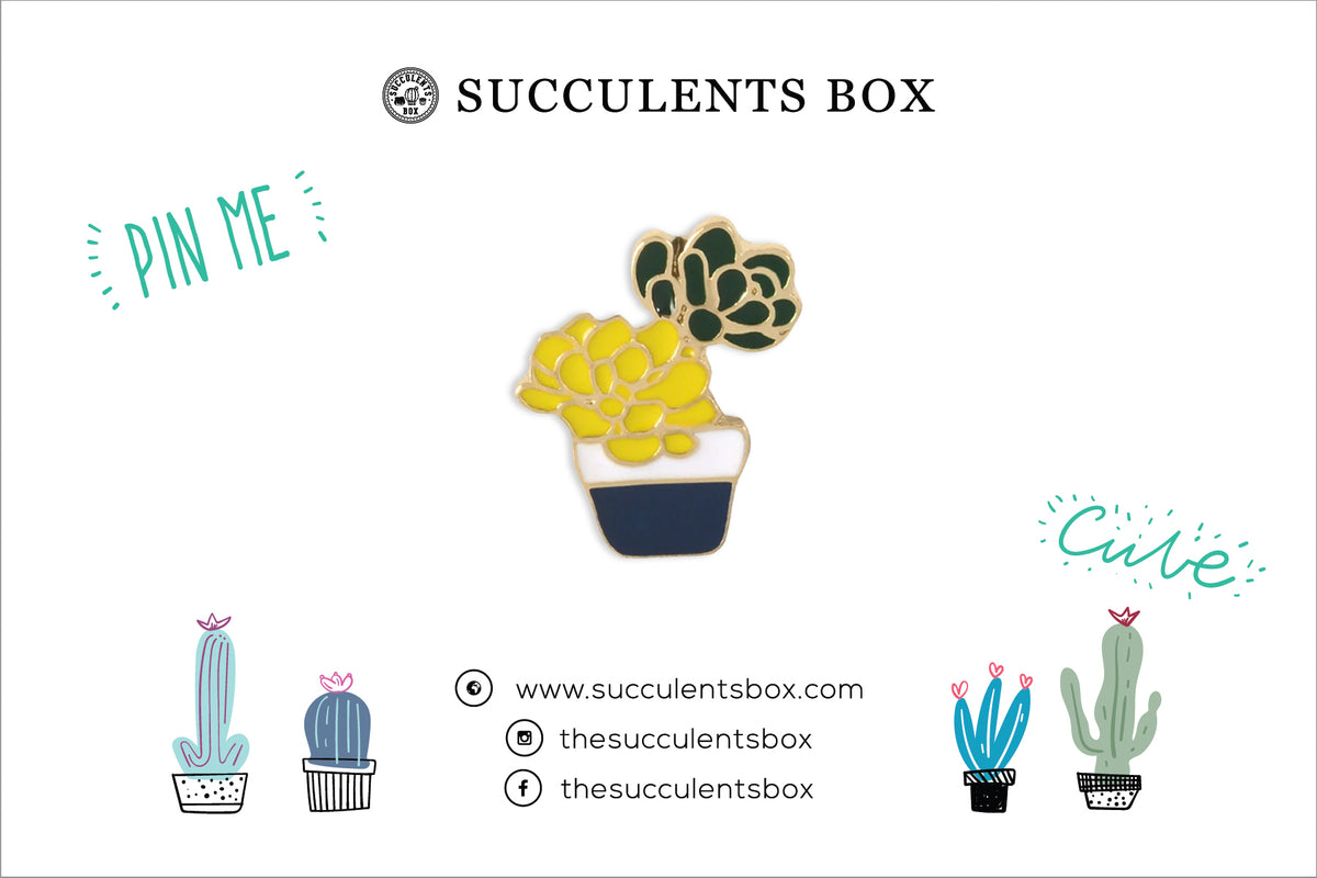 Succulent Enamel Pin for sale, Plant Hard Enamel Lapel Pin for sale, Gift Ideas for Succulent Lovers, Succulents Gift Ideas, Succulent Decoration 