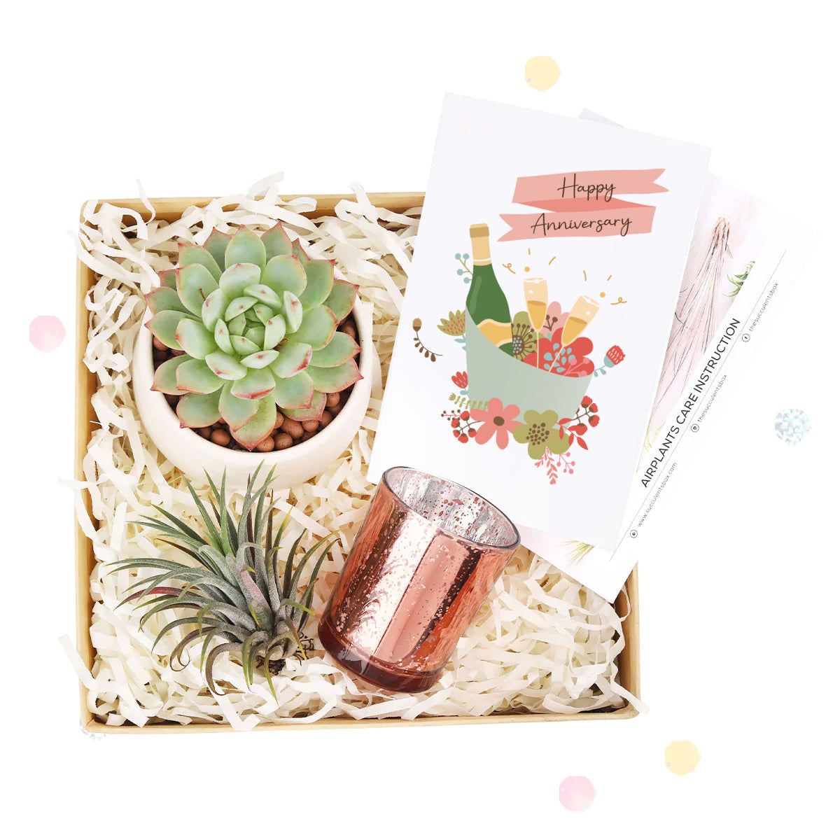 happy anniversary gift box, happy anniversary gift box for sale, happy anniversary gift idea, airplant gift box, succulent gift box for happy anniversary 2025