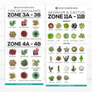 best succulent image, collection of Printable Succulents Art, digital printable succulent, choosing succulent for zone, Succulent designs Zone, Succulents Hardiness Zone, Printable Arts: Types of Succulent Zones for sale, Succulent Printable, succulent printable selection, succulent decor idea, succulent gift, succulent art