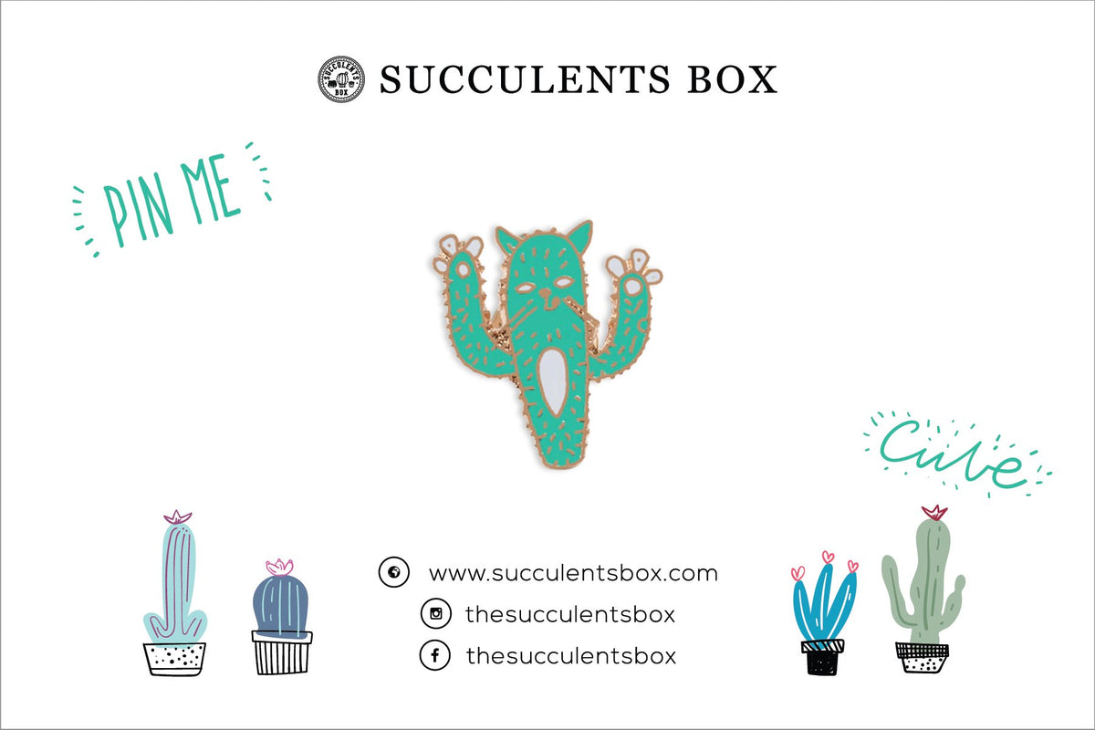 Cactus Cat Enamel Pin for sale, cat brooch for sale, cat cactus lovers, cactus gift box, succulents gift ideas, Gifts for cat lovers, Gifts for plant lovers, cactus, cactus succulent, succulent cactus, cacti, cactus and succulents, succulents box, succulent shop, buy succulents online