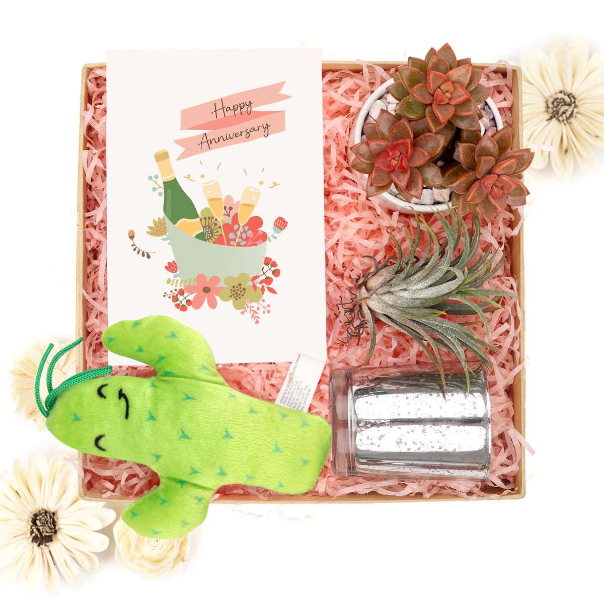 happy anniversary gift box, happy anniversary gift box for sale, happy anniversary gift idea, airplant gift box, succulent gift box for happy anniversary