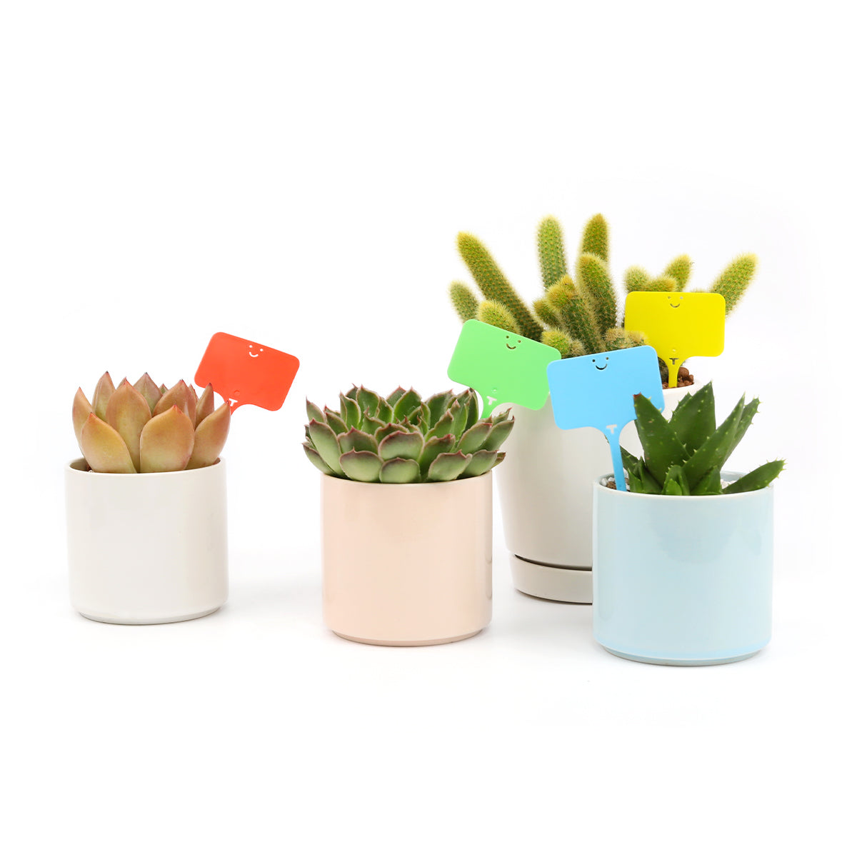 plant labels, plant tags, succulent tags, rectangle plant tag with a smiley face, smiley face gardening accessories, multicolor plastic plant labels