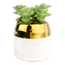 White Gold Pot