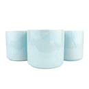 tall plant pot, plant pot ideas, female pot plant, blue pot, pot for plant, ceramic plant pot, indoor plant pot, small plant pot, modern plant pot, ceramic blue pot, chinese plant pot, long plant pot, air plant pot, succulent plant pot, blue ceramic plant pot, plant pot set, blue pot set