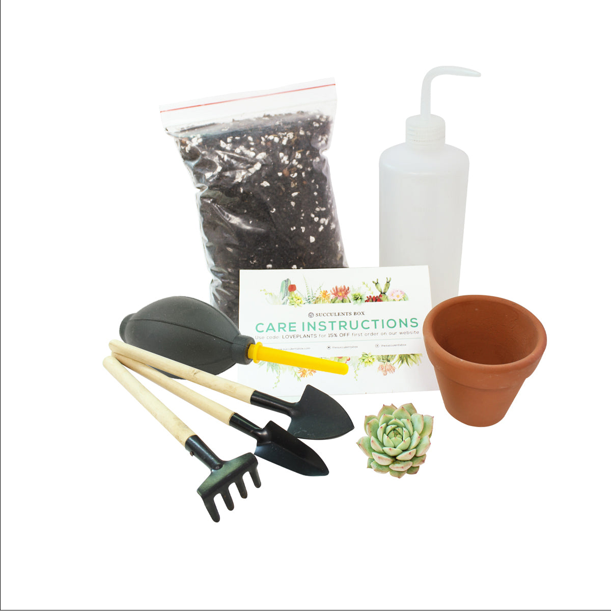 build your own succulent kit Beginner Kit (tools + 2" plant) | Plant Starter Kit | Succulent Gift for Beginners