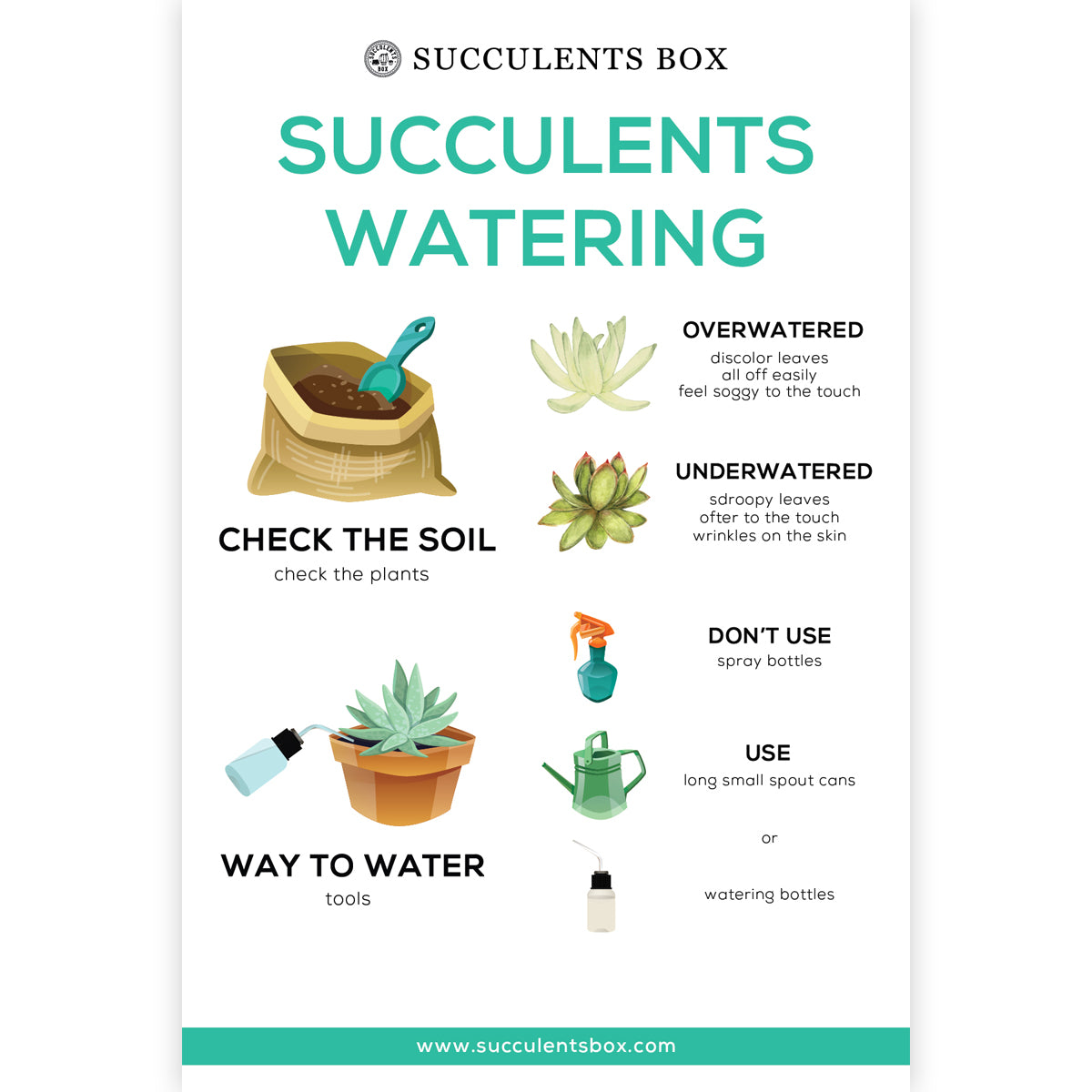 Succulents Watering Care Card for sale, How to water succulent plants, Succulent watering, How to care for succulent plant