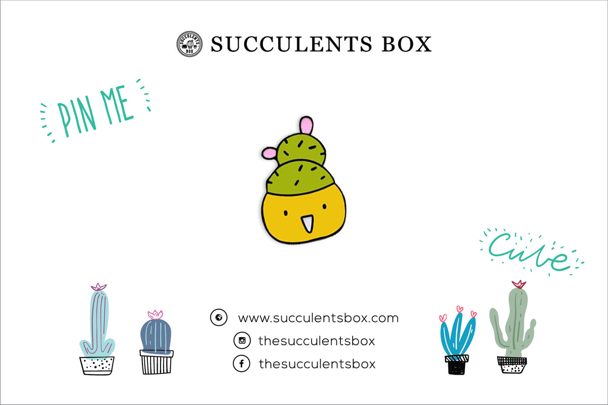 succulent lapel pin Cactus Pin | Cactus Soft Enamel Pin | Cactus Pin Badge | Succulent Gift Ideas