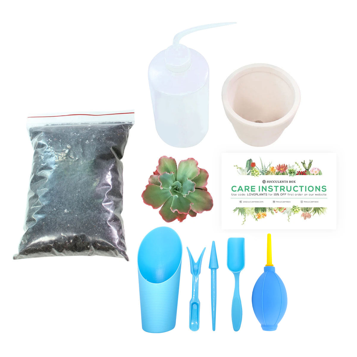 succulent care kit Beginner Kit (tools + 4" plant) | Plant Starter Kit | Succulent Gift for Beginners