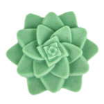 Green Rosette Succulent Soap