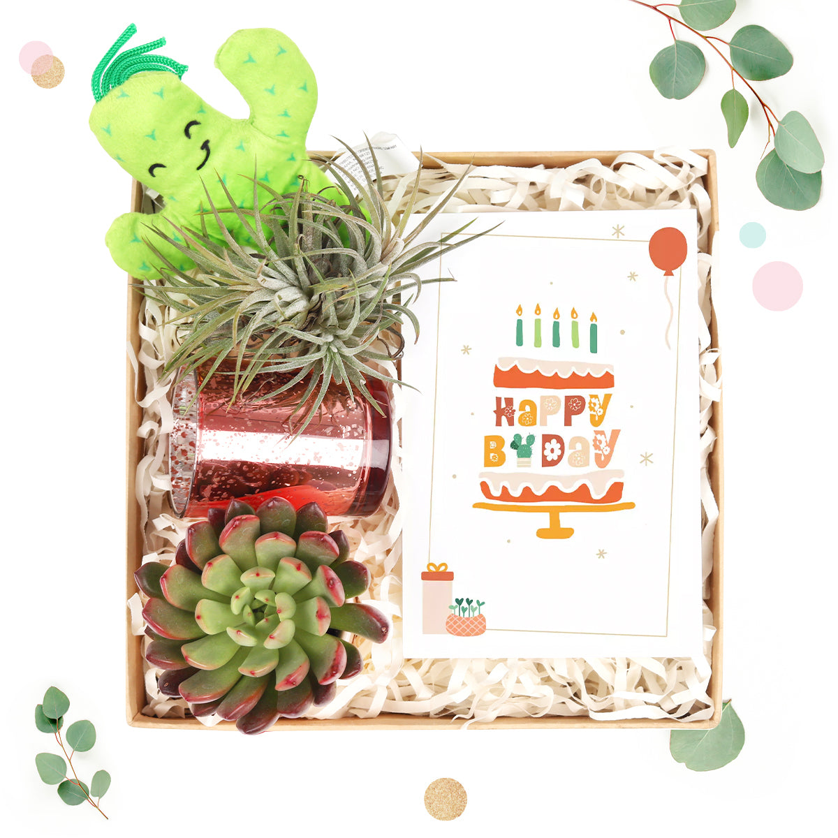 EcoFriendly Succulent Gift Box for Employee, Corporate Gift Succulents For Sale Online, Succulent Thank You Gift Ideas, Thank you gift for your staff in 2023, Customizable Gift Boxes for employees and clients, Office gift for employees, Employee appreciation day 2023 ideas, birthday gift ideas