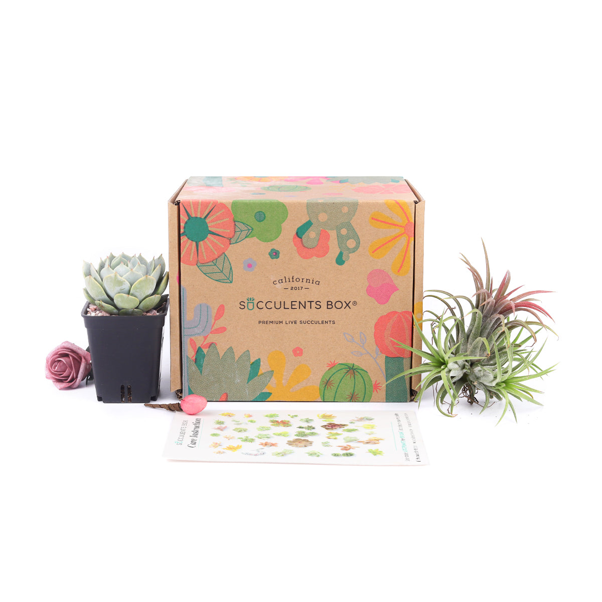 mother day gifts, mother's day subscription box, subscription boxes for mother's day, best subscription boxes for mother's day, Succulent subscription box delivered monthly, Succulent subscription gift for sale, airplants subscription box monthly