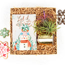 Air plant Christmas Gift Box for Sale, Air plant Holiday Gift Box, Air plant Gift Ideas 2021, Air plant Gift Box for Christmas, Air Plant Gift Box, Plant in a Box Gift, Air Plant Gift Ideas, Christmas Succulents, Christmas Succulent Plants, Succulents for Christmas Ideas in 2021, Succulent Christmas Decorations, Succulent Christmas Gift Ideas, Christmas Gift Ideas for Succulent Lovers, Holiday Succulent Planter, Holiday Decorating with Succulents